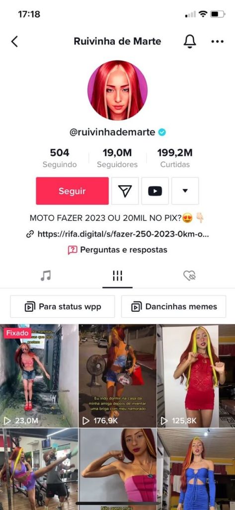 perfil da Ruivinha no TikTok